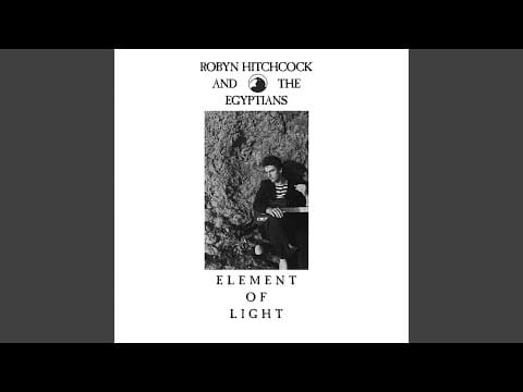 Robyn Hitchcock — The Black Crow Knows