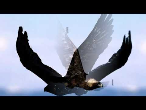 Maciej Balcar — MOJA ROZMOWA /Maciej Balcar/.
