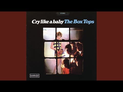 Box Tops — Good Morning Dear
