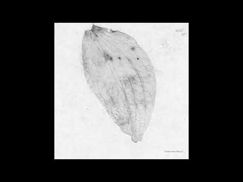 Adiel — Adiel - ESRR [SA036]
