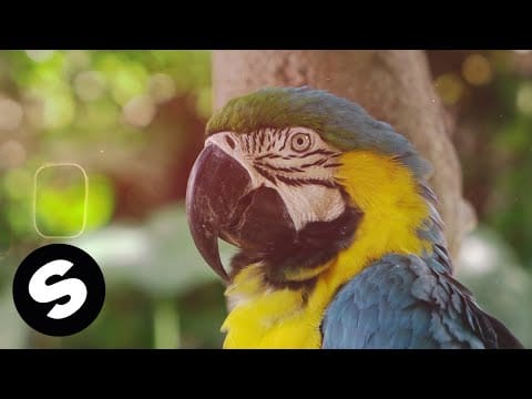 Unfazed — unfazed – A Gira (Official Music Video)