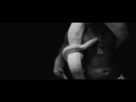 Freddie Gibbs — Freddie Gibbs - Pronto (Official Video)