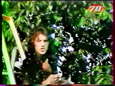 Mike Brant — Mike Brant C'est une belle fête