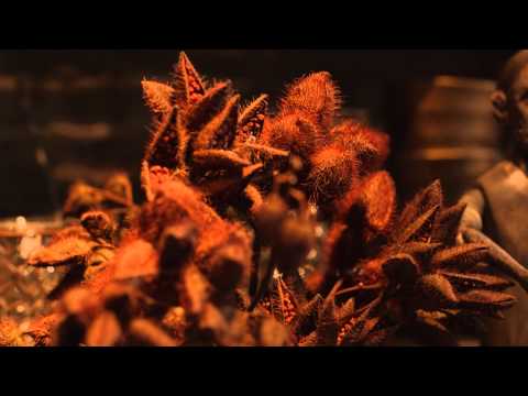 Ryan Hemsworth — Ryan Hemsworth - Too Long Here (ft. Alex G) (Official Music Video)