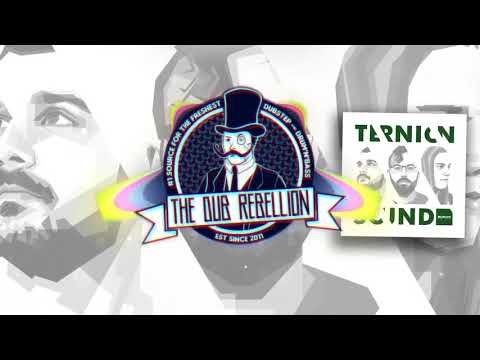 Ternion Sound — Ternion Sound - Verify Me (VIP)