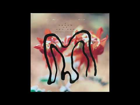 Yoichiro Yoshikawa — Yoichiro Yoshikawa - Patagonia