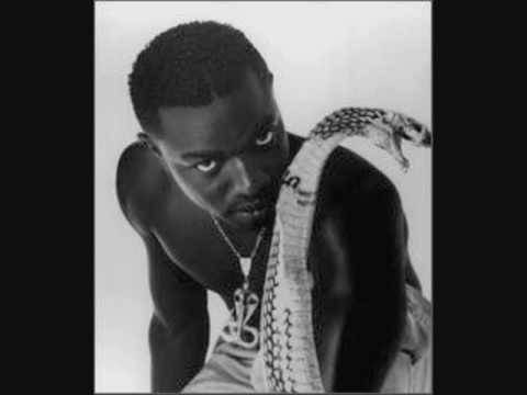 Mad Cobra — Mad Cobra-Dead End Street-Featuring The Geto Boys