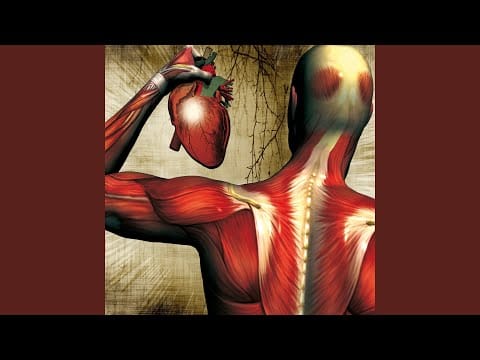 Descomunal — Sistema