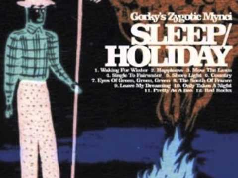 Gorky's Zygotic Mynci — Gorky's Zygotic Mynci - The South of France