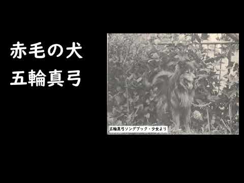 Mayumi Itsuwa — 赤毛の犬　五輪真弓（アルバム「風のない世界」より）