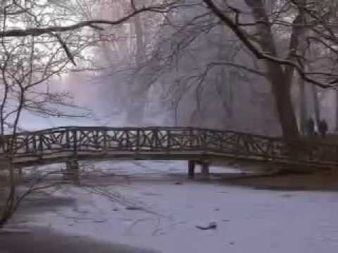 Diary Of Dreams — Diary of Dreams - Never Freeze