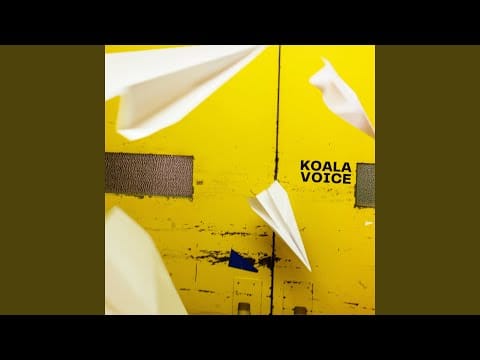 Koala Voice — Misli