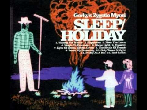 Gorky's Zygotic Mynci — Gorky's Zygotic Mynci / Waking For Winter