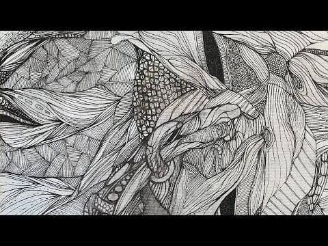 Calibre — Calibre - Moonlight