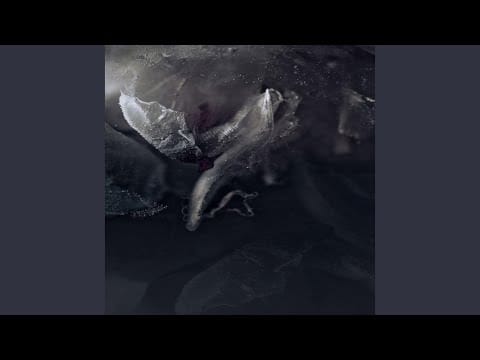 Paul Schütze — Sleep II