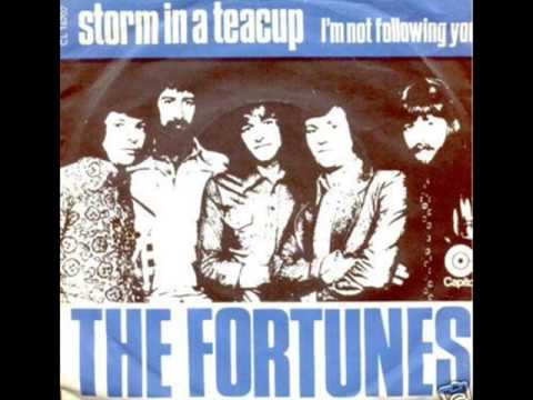 The Fortunes — The Fortunes - I`m Not Following You
