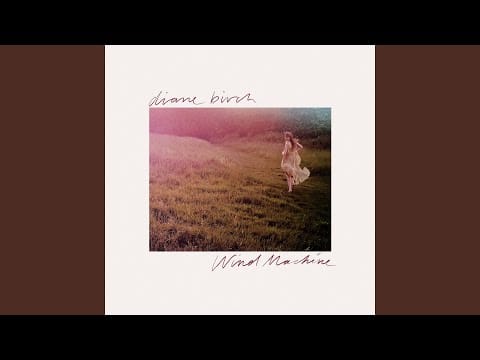 Diane Birch — Wind Machine