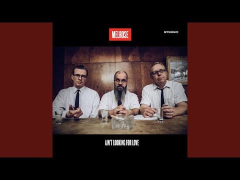 Melrose — Ain't Lookin' for Love
