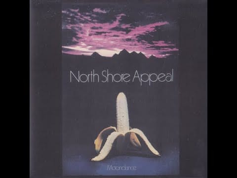 Moondance (4) — Moondance / It's Morning