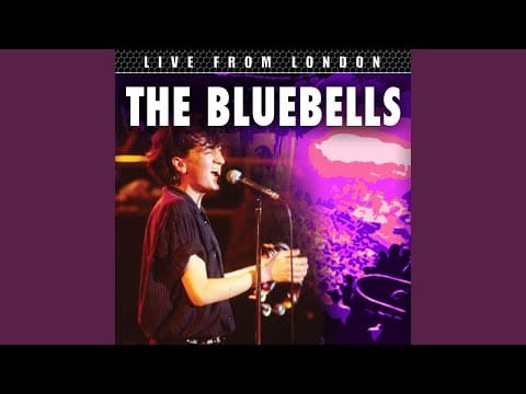 The Bluebells — Tender Mercy