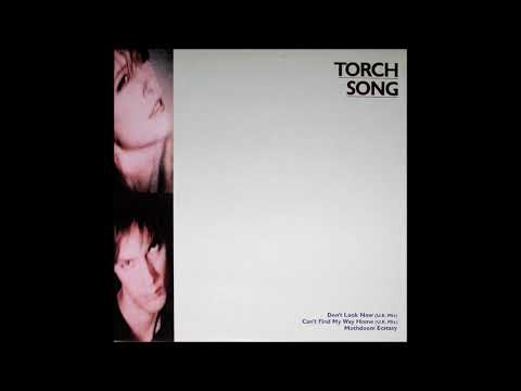 Torch Song — TORCH SONG / DON'T LOOK NOW 1984