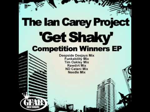 The Ian Carey Project — The Ian Carey Project - Get Shaky (needle mix)