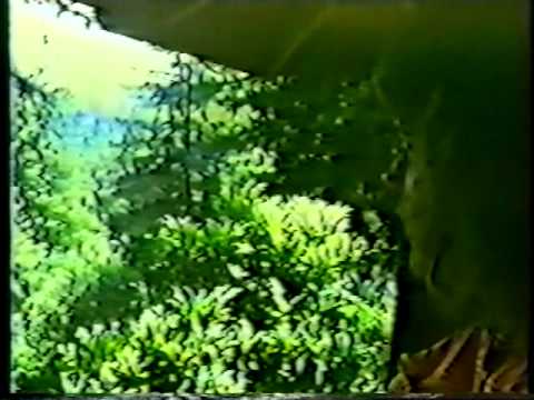 Genesis P-Orridge — Exile & Exhileration - A Video Meme From Genisis P-Orridge 3/3