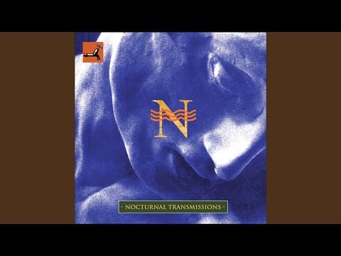 Twilight Ritual — Deepest Night