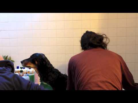Behavior (4) — Behavior - "Use (organ buildup)"  *official music video*