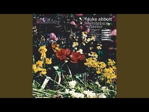 Luke Abbott — Pavilion
