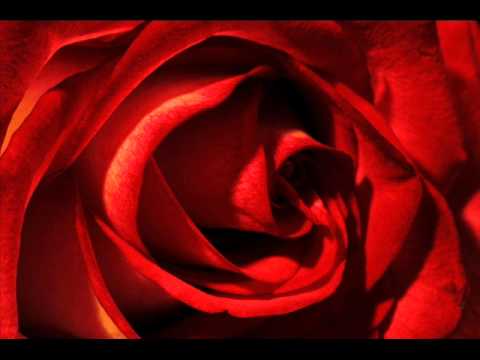 Pierangelo Bertoli — PIERANGELO  BERTOLI:  PER  DIRTI  T'AMO
