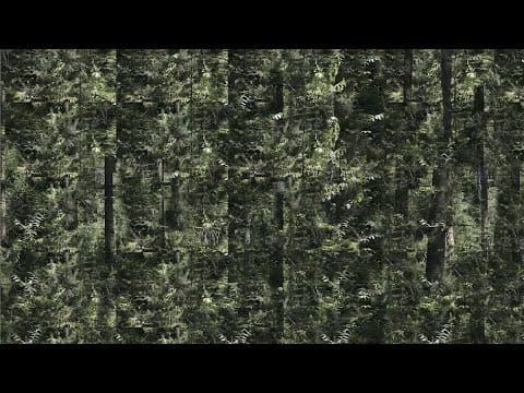 Wolfgang Voigt — Wolfgang Voigt - Werkschau (deutsch)