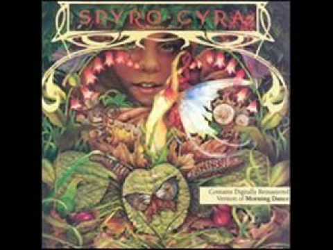 Spyro Gyra — Spyro Gyra - Song For Lorraine
