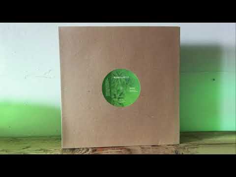 Brad Peterson — Expansion - Plant Life EP - Brad P - Inner Shift Music