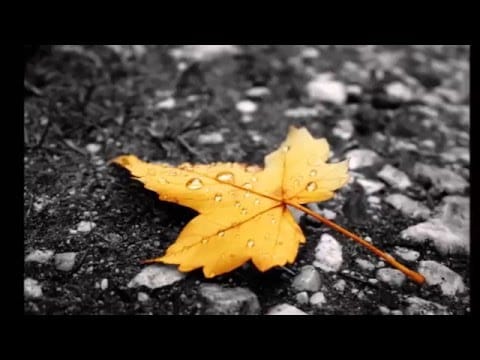 James Darren — James Darren - Speak Softly Love