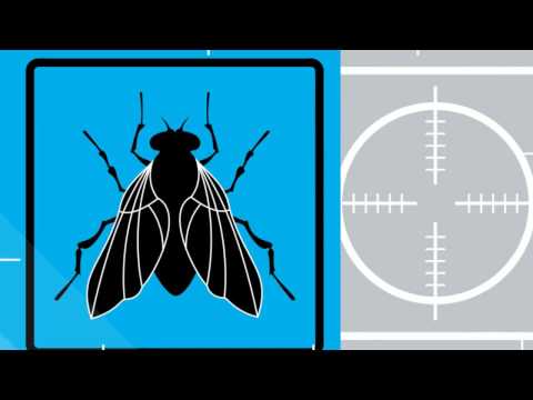 Security Project — Security Project - Live 2 recordings