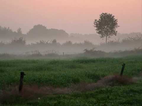 Boudewijn de Groot — Boudewijn de Groot - Avond (High Quality)