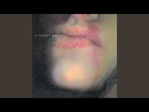 PJ Harvey — Joe