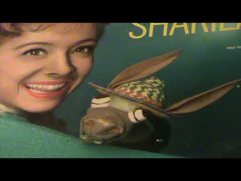 Shari Lewis — SHARI LEWIS /  Fun In Shariland    *(PT. 2