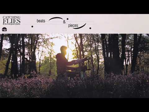 Catching Flies (2) — Catching Flies - IMY [Official Audio]
