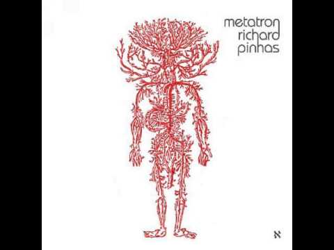 Richard Pinhas — Richard Pinhas - The Fabulous (Snippet)