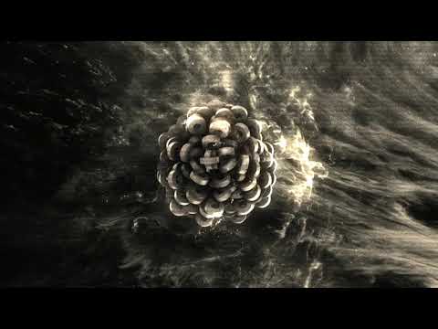 RÜFÜS DU SOL
 — RÜFÜS DU SOL ●●  Another Life [Official Audio Visual]