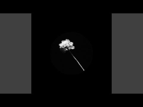 Black Atlass — Haunted Paradise