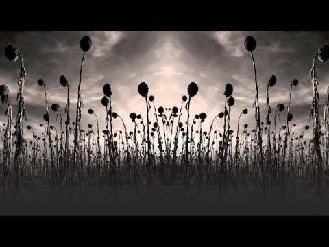 Dead Can Dance — Dead Can Dance - 'Anabasis'