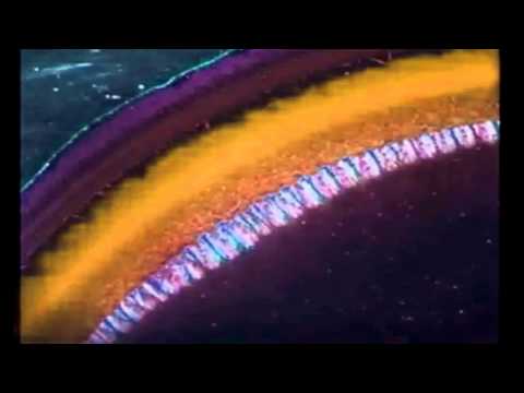 Flying Lotus — Flying Lotus - Archway - Teebs Remix -  Cosmogramma Alt Takes - 2011