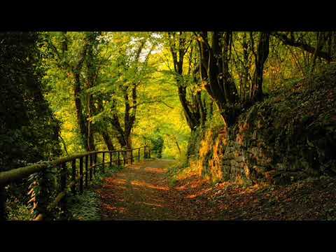 Sue Raney — Sue Raney- Pure Imagination
