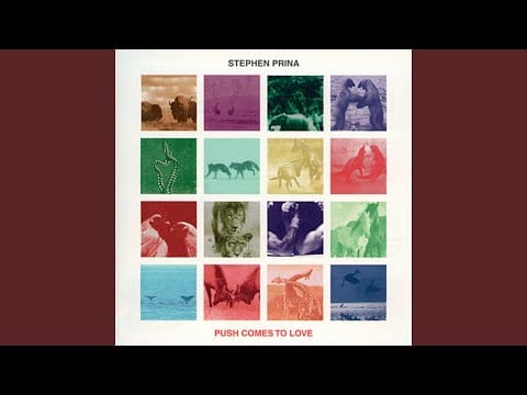 Stephen Prina — Community