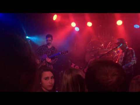 ALO * Animal Liberation Orchestra — ALO - Sounds Like This Live