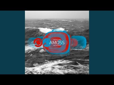 Amoss — Why Do We Fall