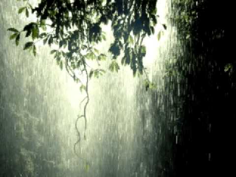 The Mandrake Memorial — The Mandrake Memorial - Rainy May